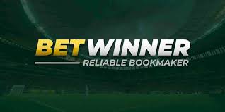 Understanding the Dynamics of Sports Betting